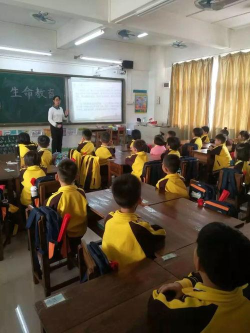 重庆小学爆料事件最新,揭开校园安全与管理的隐秘面纱  第1张